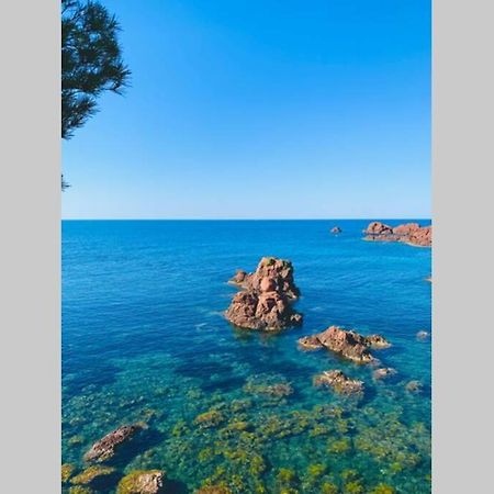 Superbe 4 Couchages Avec Terrasse - Clim - 50M De La Mer Saint-Raphaël 외부 사진