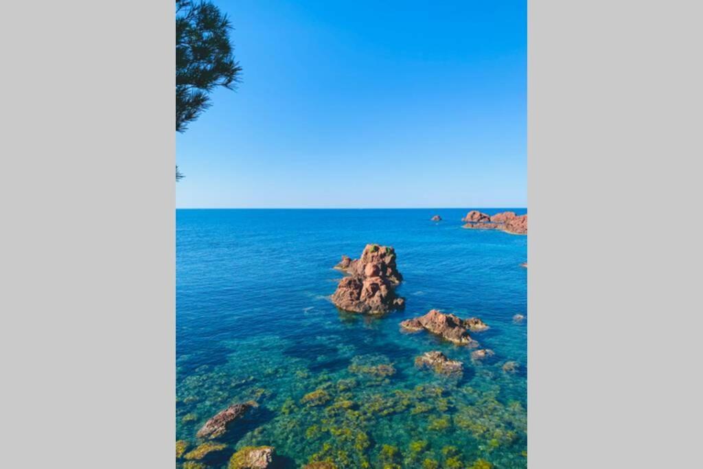 Superbe 4 Couchages Avec Terrasse - Clim - 50M De La Mer Saint-Raphaël 외부 사진
